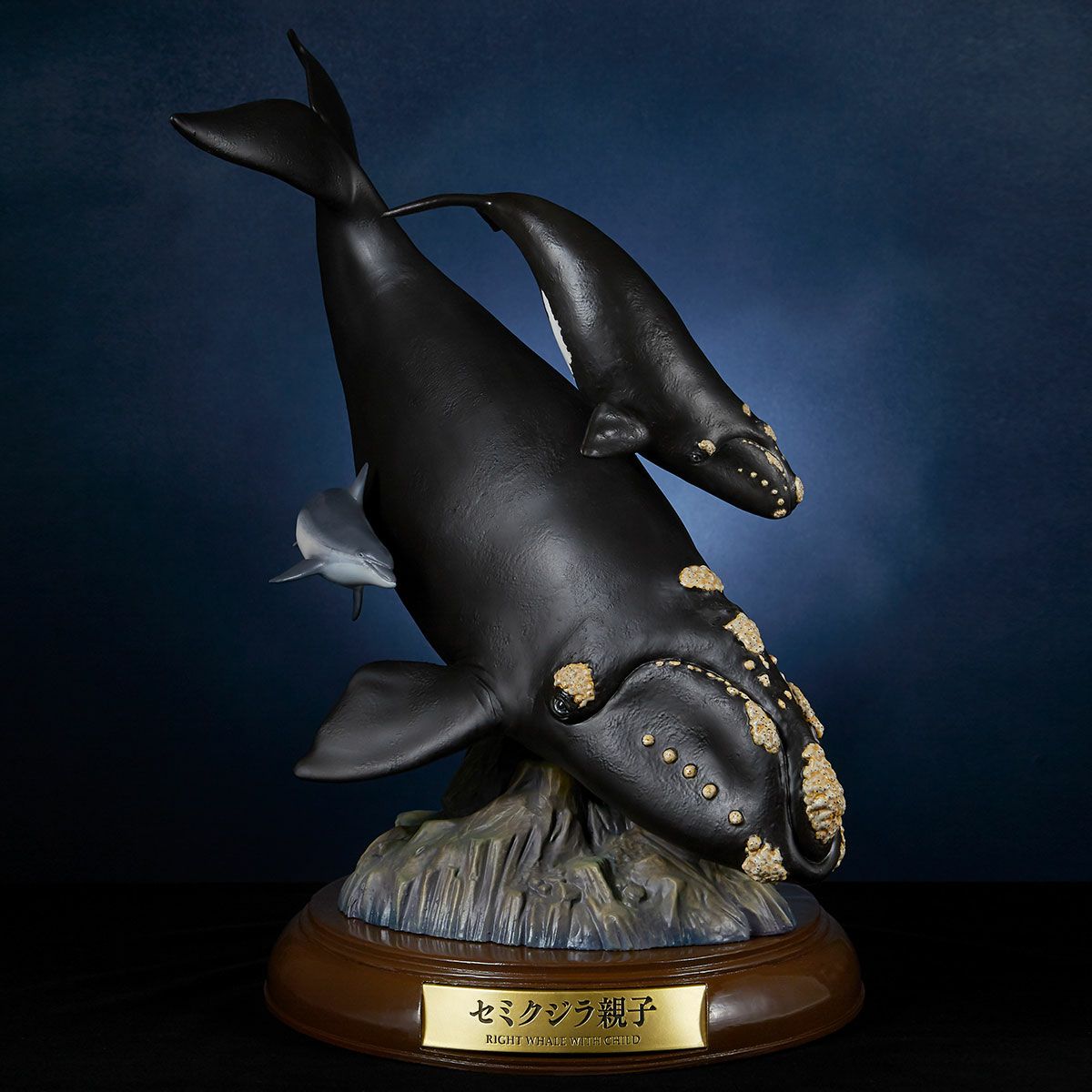 海洋堂》ARTPLA ナガスクジラ フィギュア ハマ