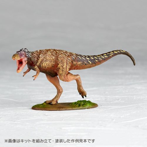 ARTPLA ティラノサウルス（幼体）[送料無料]